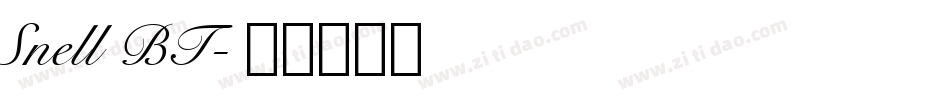 Snell BT字体转换